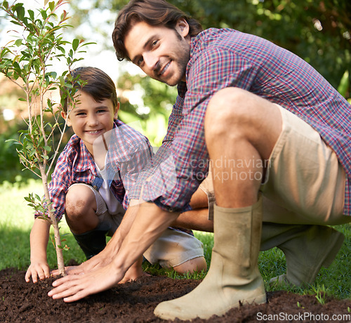 Image of Portrait, father and child planting a tree together for sustainability, gardening and ecology. Happy, family and a little boy helping dad plant trees in the garden for landscaping, hobby and bonding