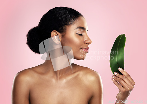 Image of Woman, leaf and natural beauty in studio, pink background and eco friendly sustainable cosmetics. Face, african model and skincare from plants, green leaves and sustainability of vegan dermatology