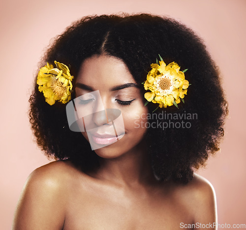 Image of Woman, hair care and yellow flowers in studio background for natural beauty, floral aesthetic or shine. Face of african model, skincare and daisy plants in afro for sustainability, cosmetics and glow