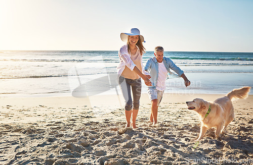 Image of Happy couple, holding hands and at the beach with a dog for walking and retirement travel in Indonesia. Smile, playful and elderly man and woman on a walk at the sea with a pet for play and holiday