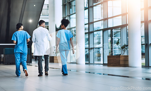 Image of Back, employees and doctors walking, conversation and planning with deadlines, schedule and brainstorming. Medical professional, coworkers and team with uniform, share ideas and talking for advice