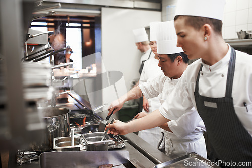 Image of Catering, professional chefs cooking food and in kitchen of a restaurant. Service or fine dining, hospitality or accommodate and staff or group of people preparing meal for lunch or dinner together