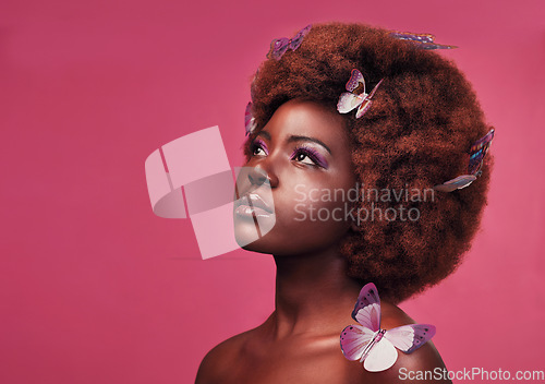 Image of Creative, cosmetic and woman with butterflies in her hair and a makeup, natural and elegant face. Art, fantasy and young African female model posing with beautiful insects by a pink studio background