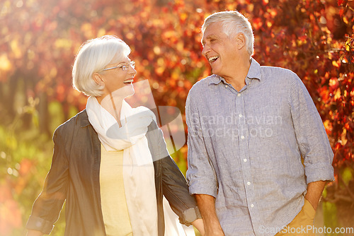 Image of Holding hands, laughing and a senior couple in a vineyard, walking together while on a romantic date. Funny, love or romance with a mature man and woman taking a walk on wine farm for bonding