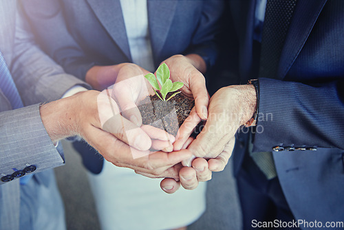 Image of Business, plants in group hands for eco environment growth and zoom closeup. Teamwork or collaboration, sustainability in green startup project and corporate people holding soil for earth day
