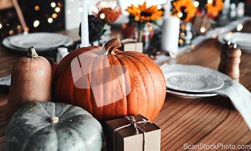 Image of Thanksgiving, pumpkin and holiday celebration or table in a empty home dining room with decoration. Season, art and creative background with orange vegetable, place setting and rustic inspiration