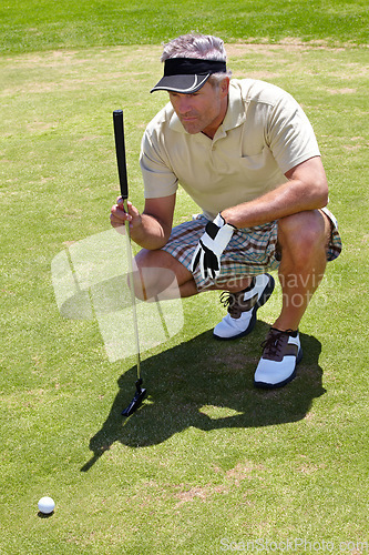 Image of Mature man, golf and focus on ball on the course for professional game, sports or hobby. Focus, looking and a golfer lining up putt on grass with a club during a competition or match for recreation