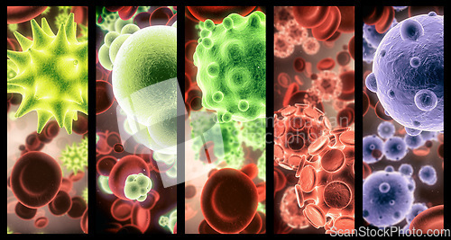 Image of Virus, bacteria and cell structure of disease closeup in series for medical investigation or research. Covid, particle and healthcare with a microscope view of living molecule samples for biology