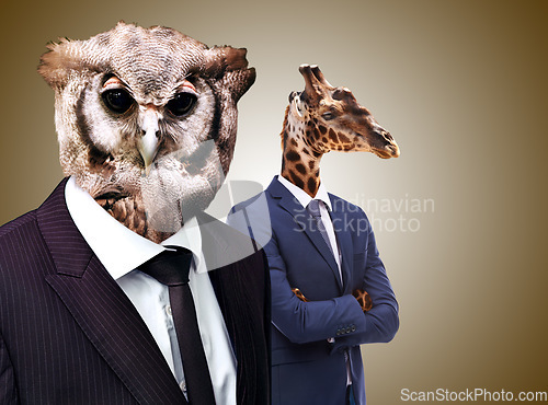 Image of Business people, corporate and animal heads with success, career and professional with formalwear. Owl, giraffe and employees with weird faces, bizarre and weird isolated against a studio background