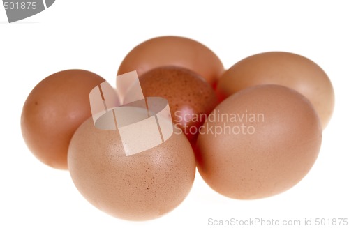 Image of Six fresh egg