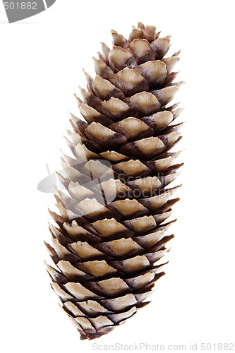 Image of Cone
