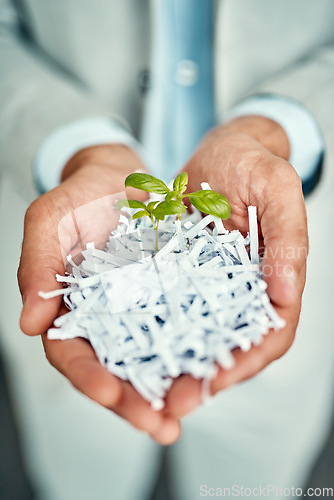 Image of Businessman, hands or plant for agriculture recycling, sustainability growth or farming investment. Shredded paper, recycle closeup or worker hand holding small plants in eco friendly startup company