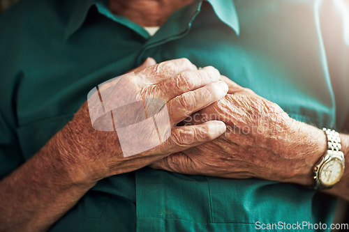 Image of Elderly man, hands on chest and heart attack, sick or medical emergency. Pain, cardiology and senior male person with cardiac arrest, heartburn or stroke, breathing problem or retirement health risk.