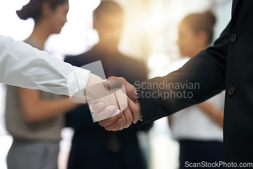 Image of Handshake, business people and partnership deal at meeting for networking, b2b and success. Professional man and woman shaking hands as corporate partner for introduction, contract agreement or trust