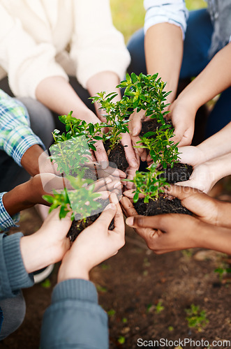 Image of Teamwork, hands and group with plants for sustainability, eco friendly or ecology. Collaboration, people and leaves in nature, growth in soil or cooperation for earth day, community together and care