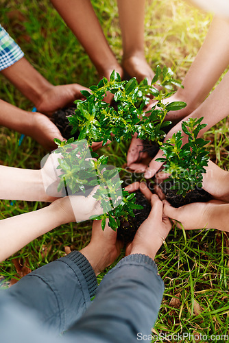 Image of Plants, gardening and the hands of people outdoor, planting green growth in soil for sustainability or conservation. Nature, spring and earth day with a team working as an eco friendly community