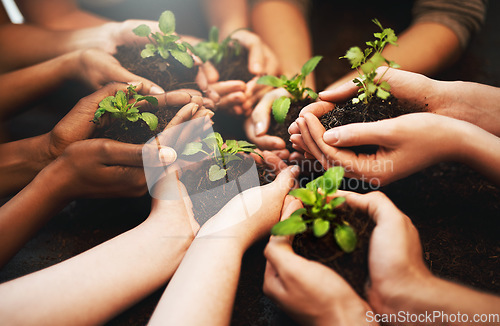 Image of Hands together, plant soil and nature growth with sustainability and community work. People, green leaf and environment project for gardening, farming and sustainable eco dirt for agriculture