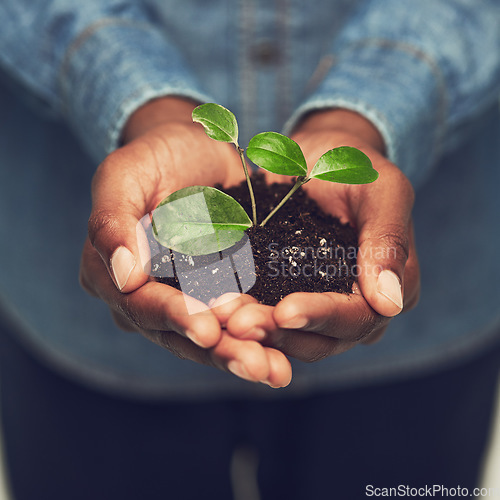 Image of Closeup, man and hands with plant with eco friendly for the environment and sustainability with recycling. Entrepreneur, male person and hand with fertilizer for green energy and growing at a farm.