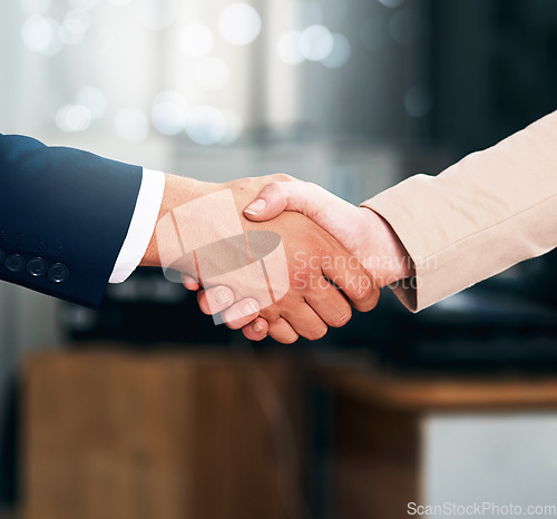 Image of Handshake, agreement and business people with deal, partnership or collaboration. Shaking hands, cooperation and employees with opportunity, acquisition or b2b negotiation, congratulations and mockup