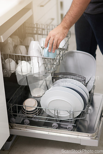 Image of Cleaning, loading dishwasher and hands with dishes in the kitchen for housework and responsibility. Lifestyle, morning and a person doing housekeeping, organizing crockery and clean equipment