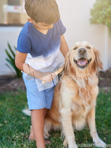 Image of Brushing fur, care and dog with a child in a garden for cleaning, responsibility and pet grooming. Love, young and a boy kid with a brush for the hair of a labrador in a backyard for routine