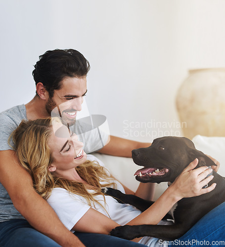 Image of Love, relax or happy couple with a dog on house sofa bonding or laughing with trust or loyalty together. Pet, animal lovers or woman enjoys playing with cute pitbull puppy with care on couch at home