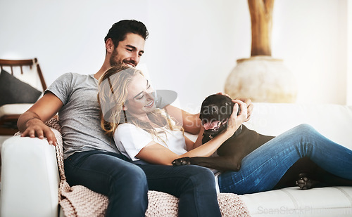 Image of Smile, relax or happy couple with a dog on house sofa bonding or hugging with trust or loyalty together. Pet, animal lovers or woman enjoys playing with cute pitbull puppy with care on couch at home