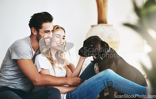 Image of Love, relax or happy couple with a pet on house sofa bonding or hugging with trust or loyalty together. Dog, animal lovers or woman enjoys playing with smile or cute pitbull puppy with care on couch