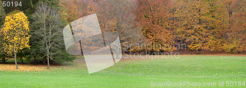 Image of Autumn trees with red and yellow leaves