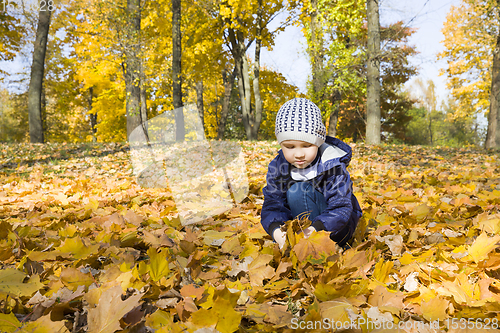Image of boy and fallen yellow leaves