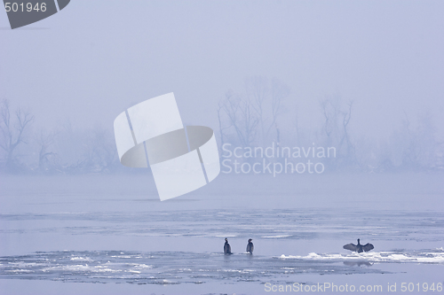Image of misty view of river Danube in mid winter