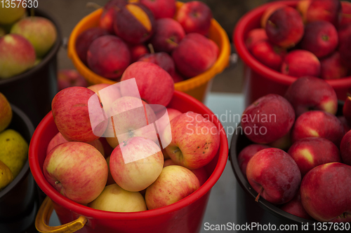Image of Red ripe apples in bucket.