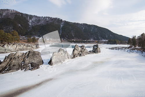 Image of Fast mountain river Katun at winter