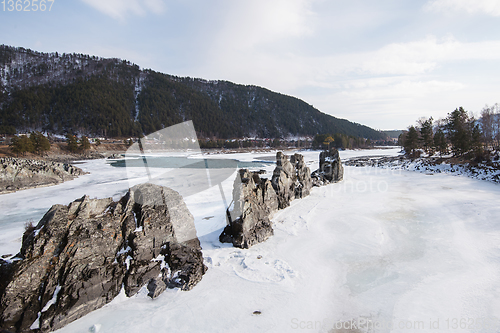 Image of Fast mountain river Katun at winter