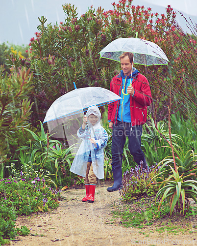 Image of walking, umbrella and nature with a father and child outdoor for family fun, happiness and quality time. Man and boy kid on adventure with water drops, freedom and play for learning in a garden