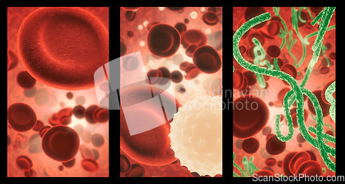 Image of Covid, blood and cell structure of disease closeup in series for medical investigation or research. Virus, bacteria and healthcare with a microscope view of living molecule samples for biology