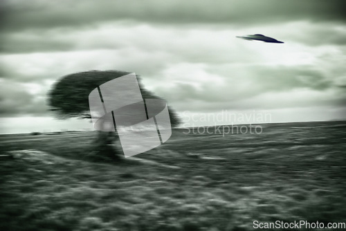 Image of UFO, spaceship and nature for alien invasion, fantasy and science fiction with tree in field. Earth, aliens or environment, landscape and countryside with extraterrestrial drone in motion blur