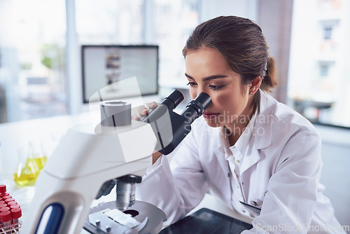 Image of Research, scientist and woman with a microscope, laboratory and experiment for results, cure and healthcare. Female person, science and researcher with lab equipment, sample analysis and medicine