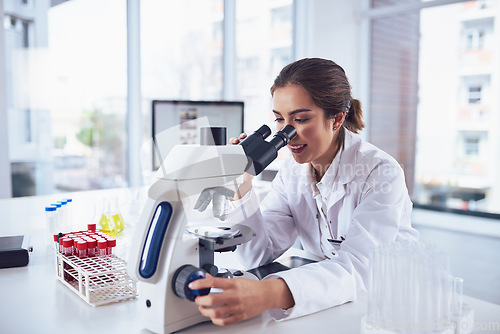 Image of Science, research and woman with a microscope, analysis and healthcare with results, technology and experiment. Female person employee or researcher with lab equipment, career and medicine innovation