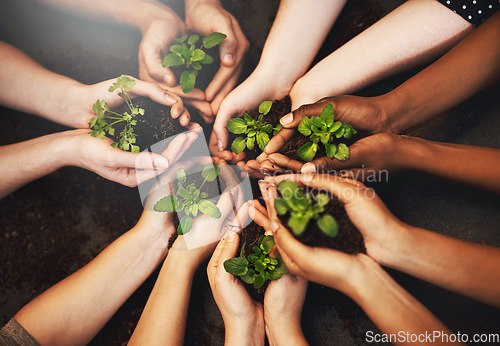 Image of Hands together, soil and plant growth with green sustainability and community work. People above, leaf and environment project for gardening, farming and sustainable eco dirt for agriculture