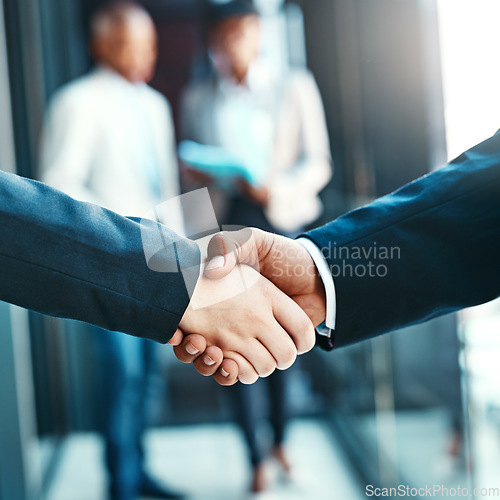 Image of Handshake, business people with agreement and support with networking, welcome and introduction. Hiring, recruitment and promotion, corporate team shaking hands and partnership with collaboration