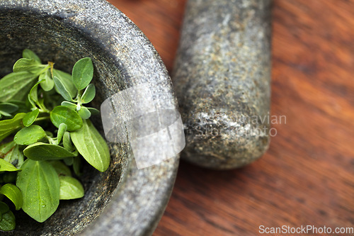 Image of Plant cooking, mortar and pestle for herbs on table top in kitchen. Vegetables, food and equipment for crushing basil leaf, plants or spices for gourmet meal, seasoning and flavor for healthy diet.