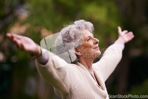 Image of Senior, happy woman and celebrate life in nature, joy or retirement freedom outdoors. Face of elderly female smiling in happiness with arms out enjoying natural environment or vitality outside
