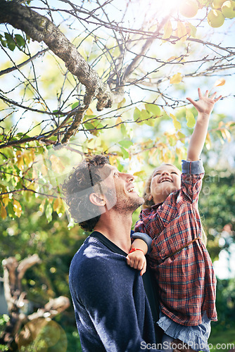 Image of Backyard, girl and father bonding in fall nature, trees and garden in autumn or child, reaching leaf and branch. Young parent, little kid and happy together in green, outdoor and natural environment