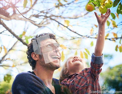 Image of Man with girl child in garden, picking from apple tree and happy outdoor, love and family together in orchard. Father spending quality time with young daughter on farm, fruit and happiness in nature