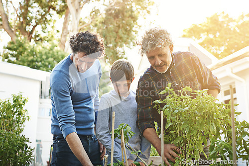 Image of A grandfather, father and boy working in garden with family, generations and nature with plants in home backyard. Bonding, love and care with helping men and child outdoor gardening with environment