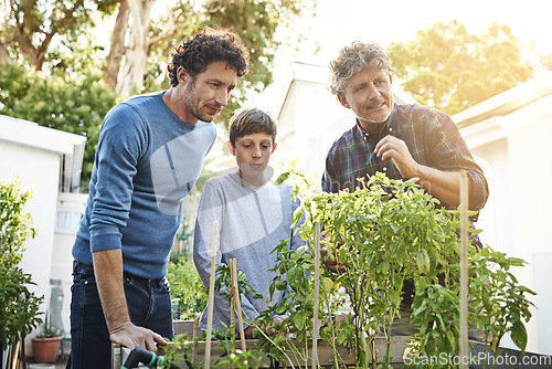 Image of Men with boy working in garden in backyard with generations, grandfather with father and kid with plants. Sustainability, love and nature with family outdoor with green leaves and gardening at home