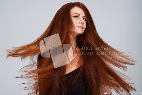 Image of Red hair, wind and face of woman in studio for treatment, wellness and movement on gray background. Beauty, hairdresser salon and female model with keratin shine, healthy and natural hairstyle