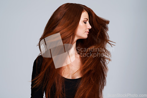 Image of Red hair, shake and woman in studio for keratin treatment, wellness and haircare on gray background. Beauty, hairdresser mockup and female model with shine, healthy and natural, ginger hairstyle