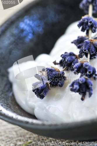 Image of Lavender cream